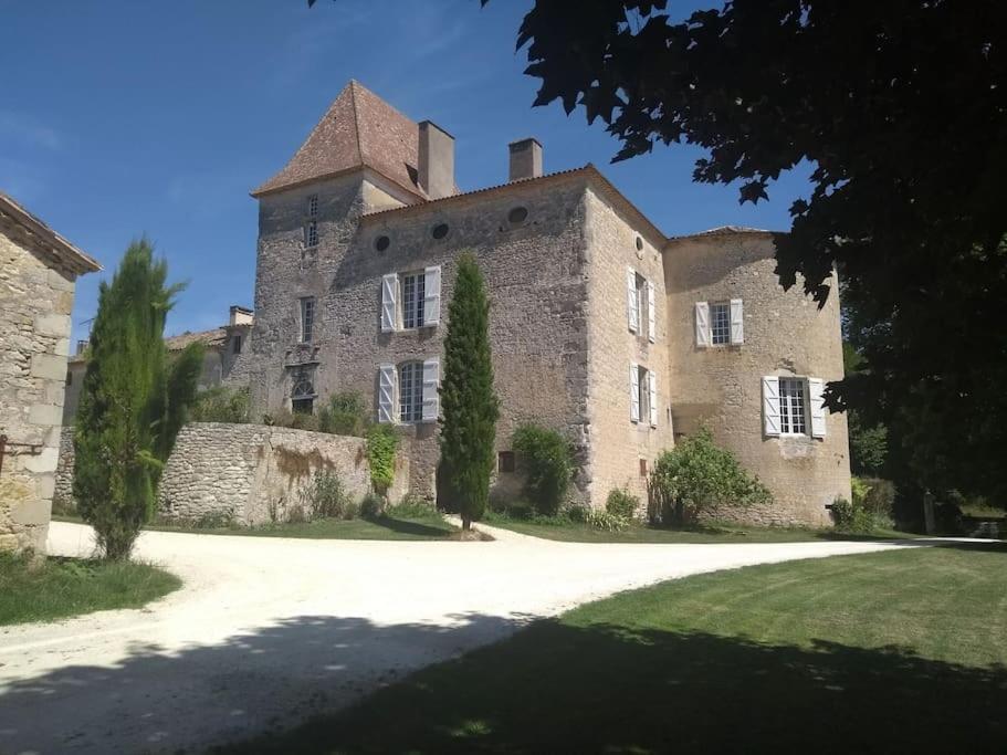 Chateau Barayre - Beautiful 12Th Century Castle With Pool And Large Garden Laussou Exterior foto